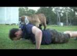 Baby Goat Push-ups