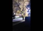 Electrical fireball in Montreal