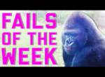 Fails of the Week