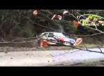 Rally Car Crash Compilation