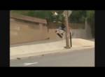 Skateboard Fail