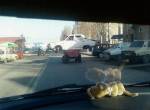 BrainFlasher Picdump #260