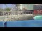 Perilous Plunge onride at Knotts Berry Farm