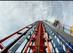 SheiKra onride at  Busch Gardens Tampa