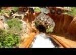 Splash Mountain onride at Magic Kingdom