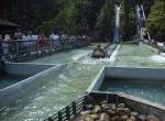 Flume onride at Knoebels Amusement Park 