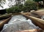 Log Flume onride at Canobie Lake Park