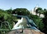 Stanleyville onride at Busch Gardens Tampa Florida