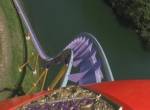 Apollos Chariot onride at Busch Gardens Europe